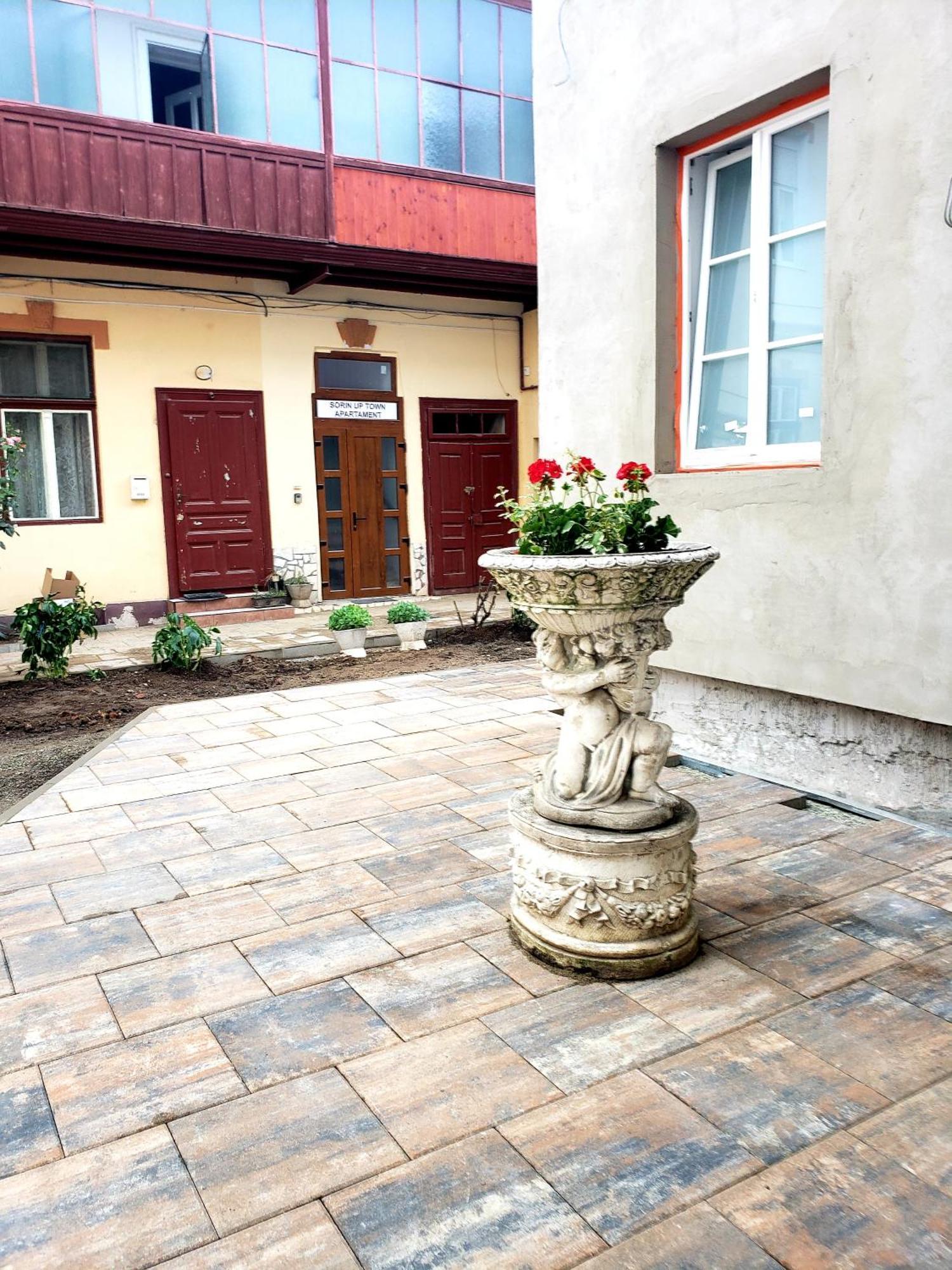 Sorin Up Town Appartement Sibiu Buitenkant foto